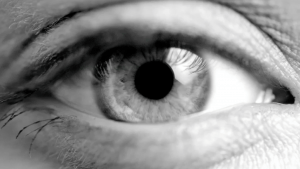 Gigaset SL910 eye