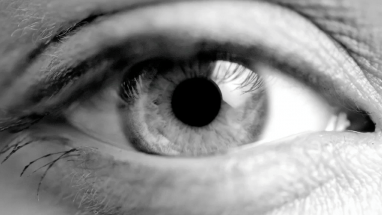 Gigaset SL910 eye
