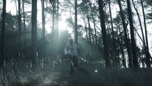 Peer Gynt forest